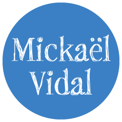 Mickael Vidal Musicien